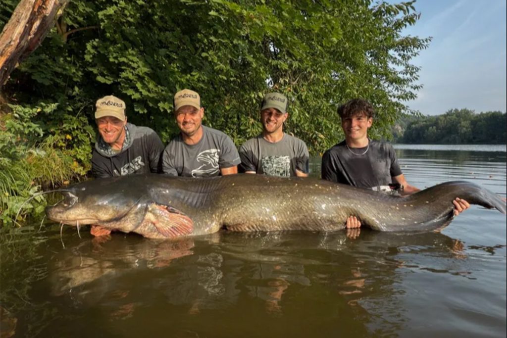 Upecao soma dugog 272 centimetra