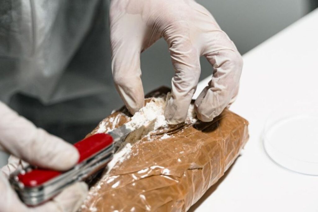 Austrijanci uhapsili srpskog “kralja kokaina” (17), valjao se među kesicama droge