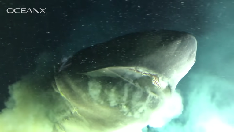 Snimka “morskog čudovišta” nastala iz podmornice prestravila internet