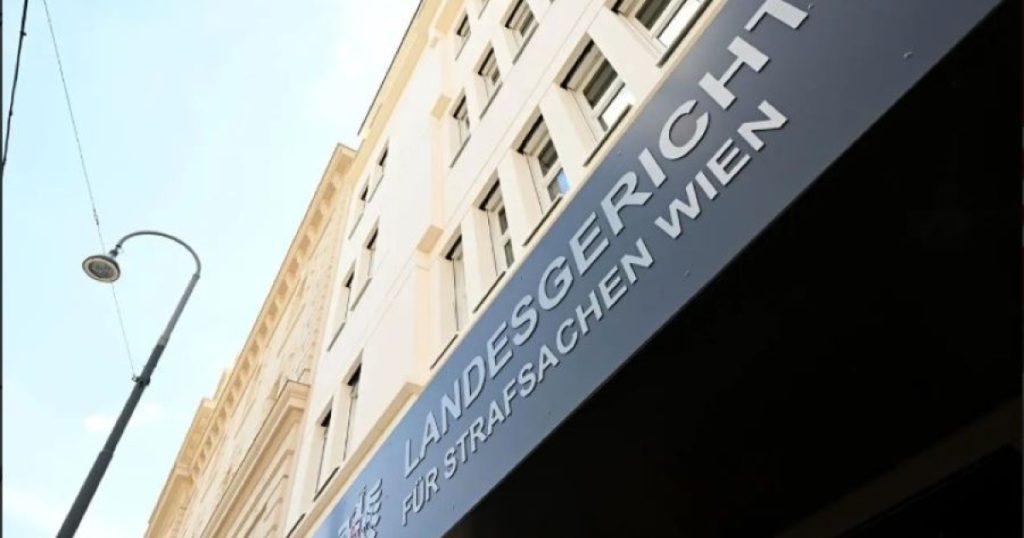 Posvađali se zbog politike: Osuđen zbog nanošenja fatalnih povreda muškarcu iz BiH Foto: Screenshot/sn.at