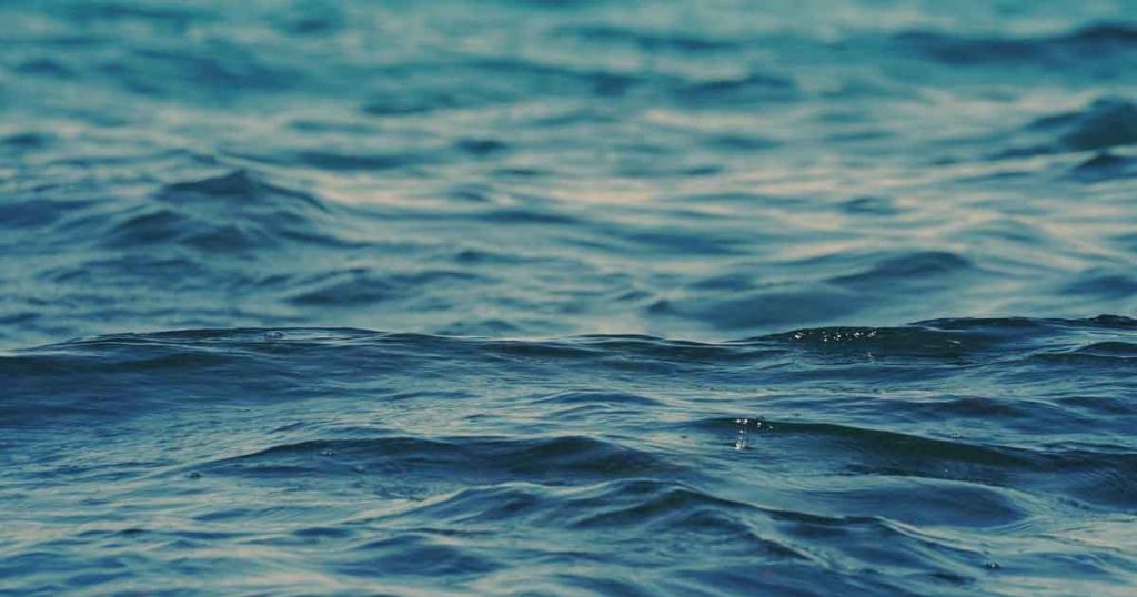 U stomaku velike ribe u Jadranskom moru pronađeno nešto najgore Foto: Pixabay