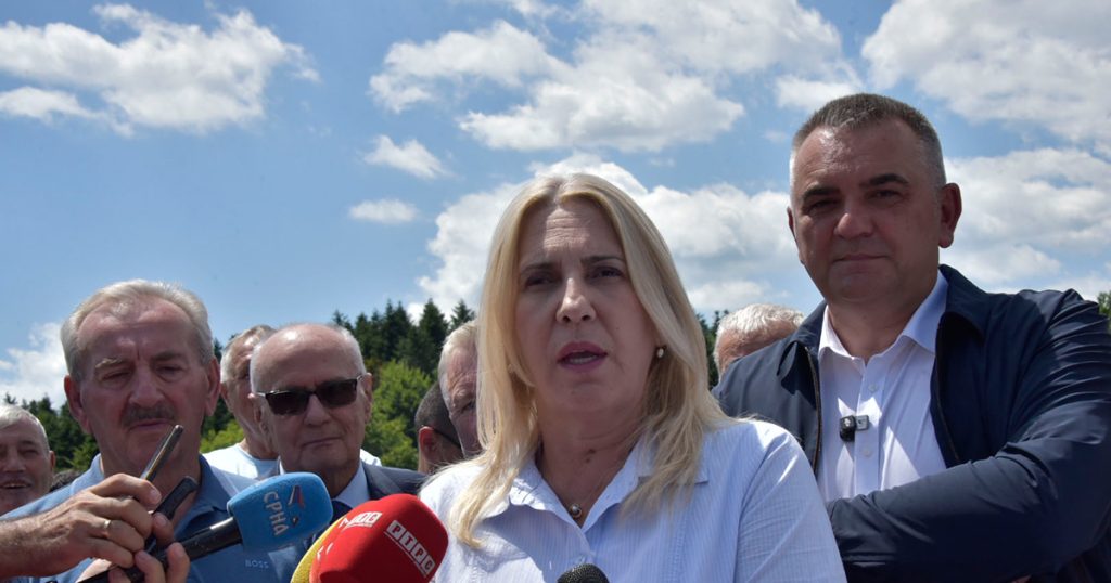 Cvijanović: Republika Srpska uspjela da dobije ravnopravan status Foto: Srna