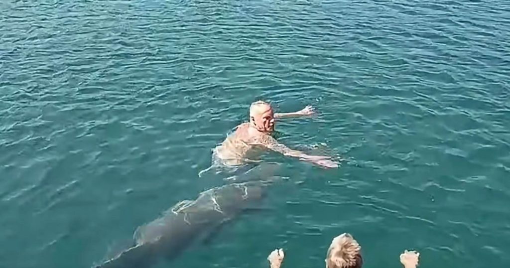 Biolog: Ponašanje delfina koji se igra s kupačima u Hrvatskoj apsolutno zabrinjavajuće Foto: Facebook/Printscreen