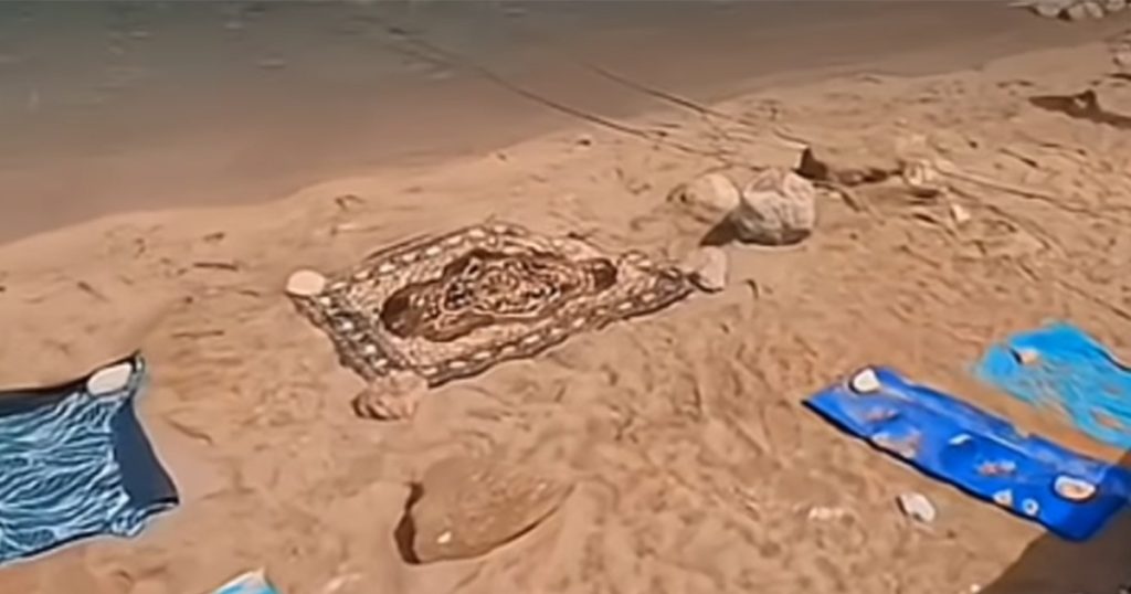 Tepihom rezervisao mjesto na plaži: „To se Aladin parkirao“ (VIDEO) Foto: Screenshot / Instagram