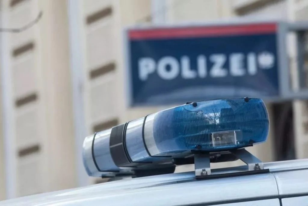 Tri žene i 32 djece: Porodica pod lupom policije
