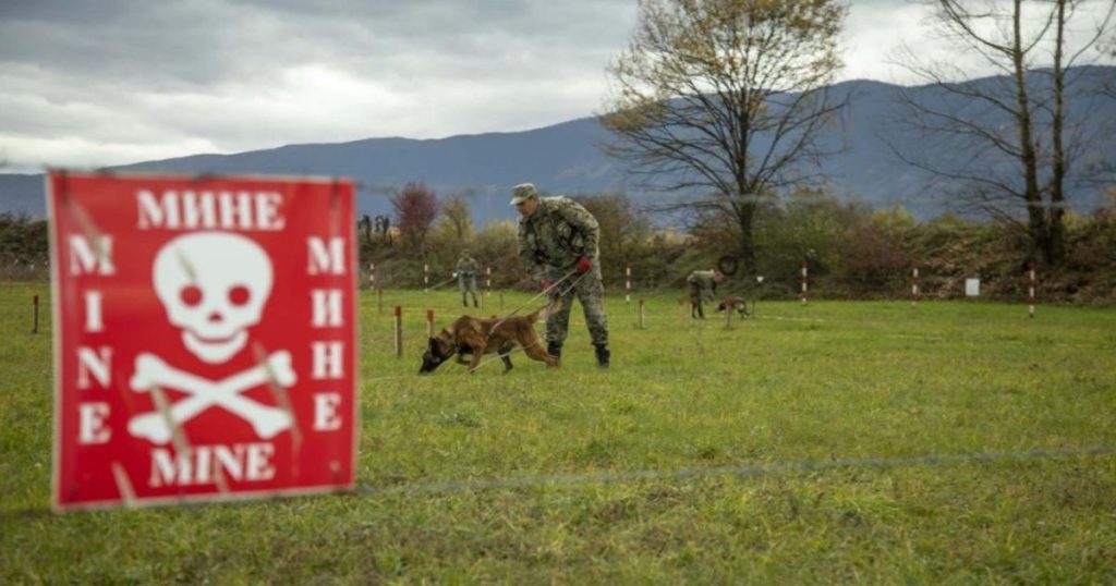 Još pet godina čekanja: BiH ponovo pomjera rok za uklanjanje mina Foto: European Union Force in Bosnia and Herzegovina