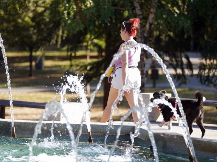 Vruće i sutra, temperatura do 38 stepeni Foto: Tanjug