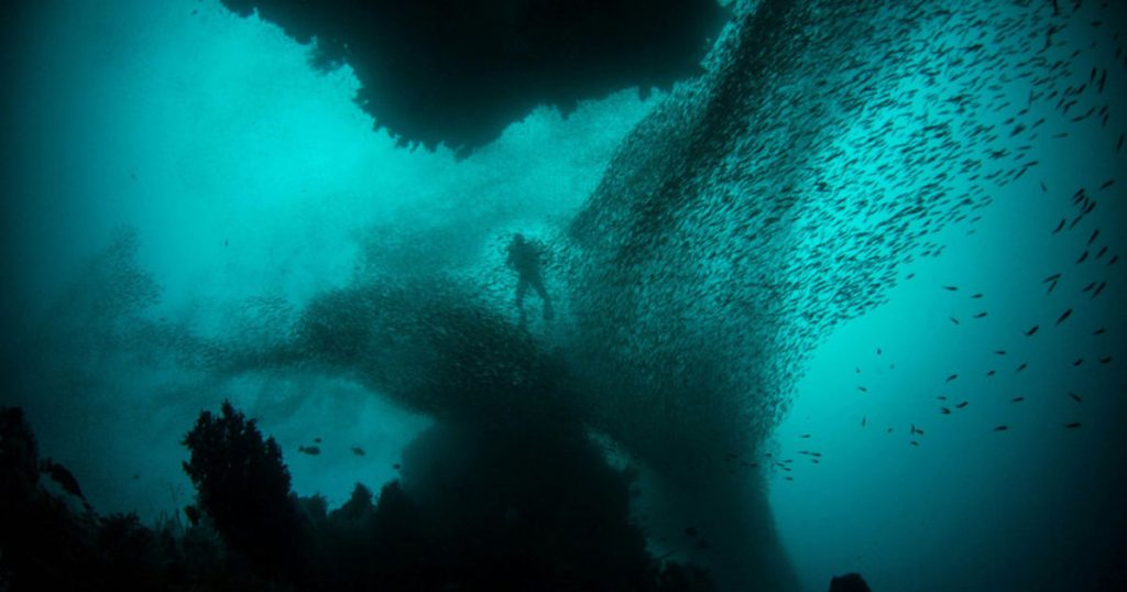 Foto: Alex Rose/Unsplash/Ilustracija