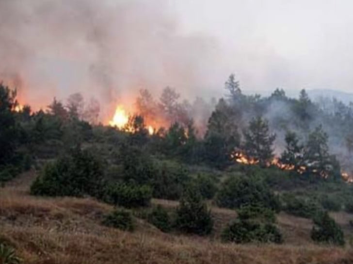 Drama kod Trebinja: Požar u Ivanici i dalje aktivan Foto: Agencije