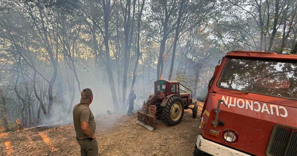 Srbija nastavlja borbu sa vatrenom stihijom, angažovani svi kapaciteti Foto: Tanjug/AP