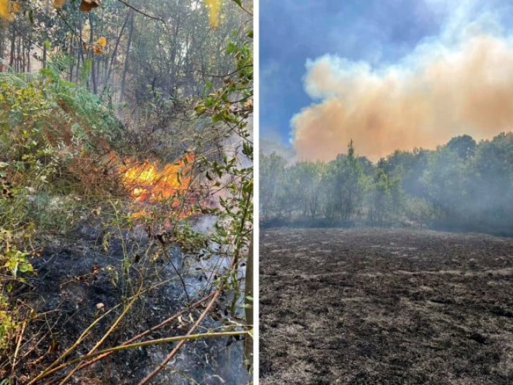 Zvornik: Požari na području Snagova i Kamenice Foto: RTRS