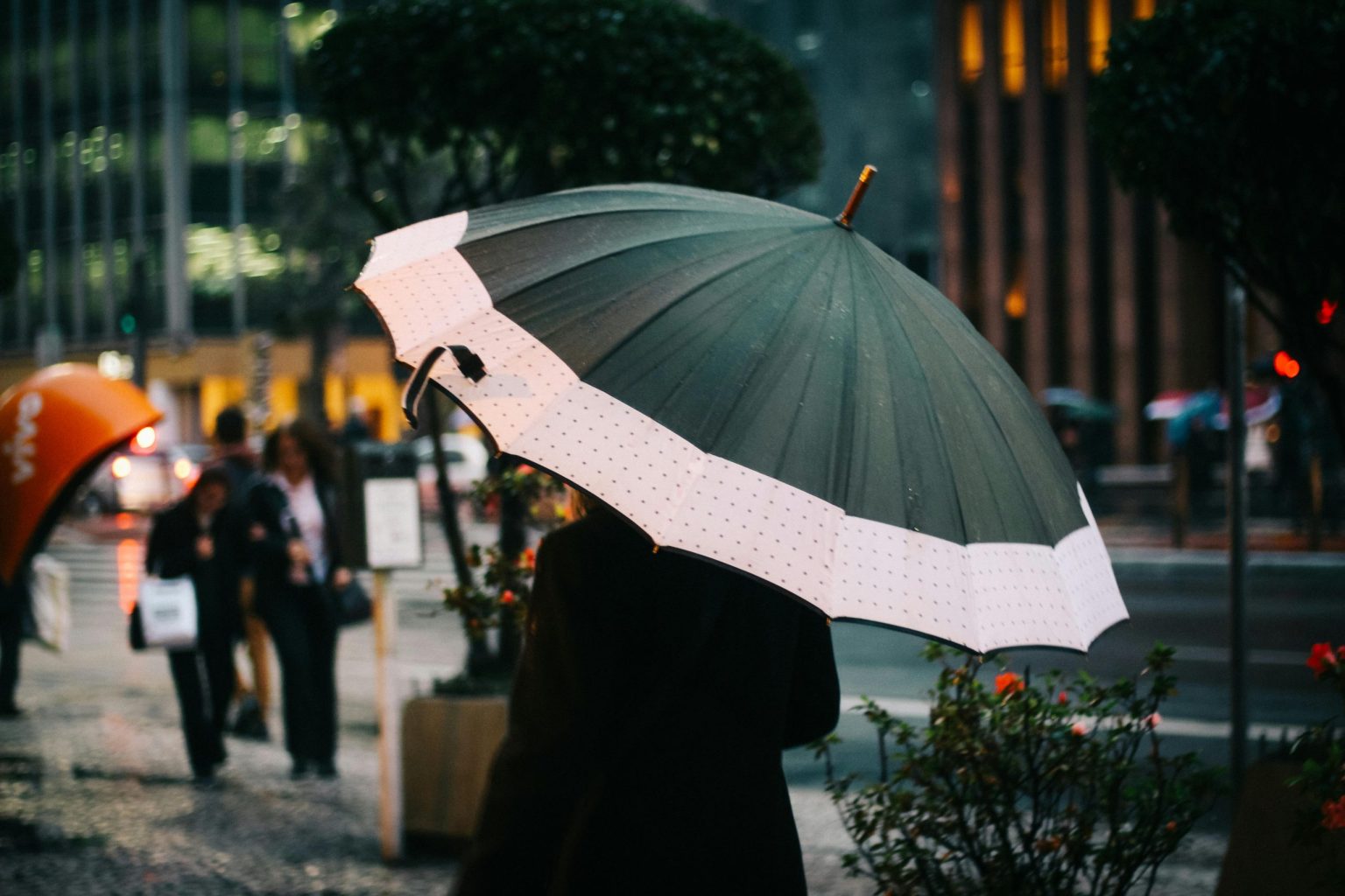 Foto: pexels