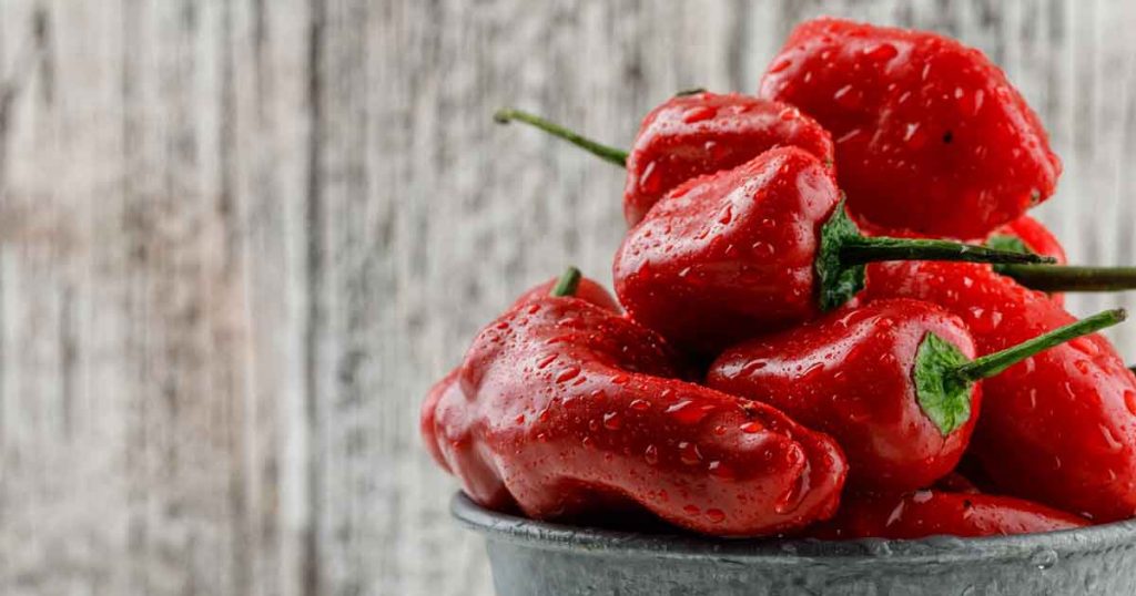 Koliko je paprika potrebno za kilogram ajvara, ovo je najpošteniji odgovor Foto: Magnific