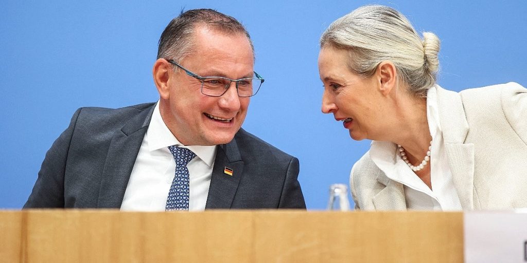 AfD planira tajni sastanak s Putinovim saradnikom: Žele da Njemačka ponovo kupuje ruski gas